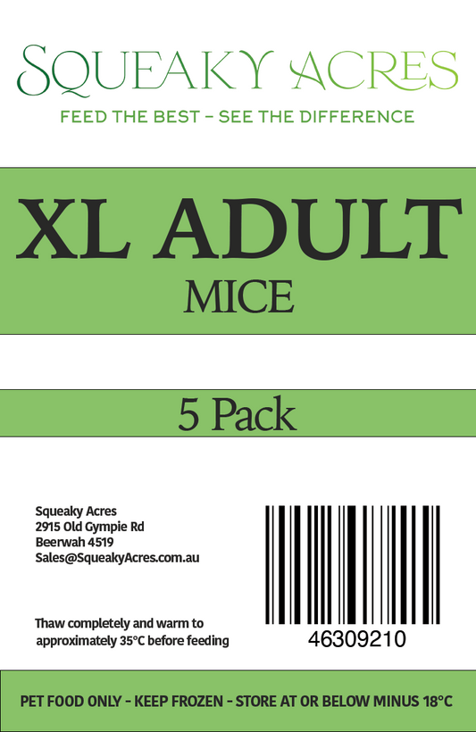 XL Adults 30-39g 5pk